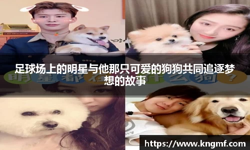 足球场上的明星与他那只可爱的狗狗共同追逐梦想的故事
